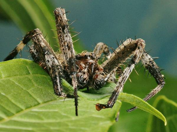 DSC02671
Фотограф: Сергей Буркацкий

Просмотров: 371
Комментариев: 0