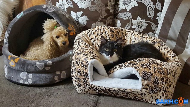 Друзья

Просмотров: 783
Комментариев: 2