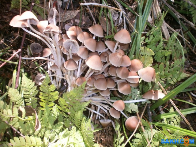 P9210700

Просмотров: 3204
Комментариев: 1