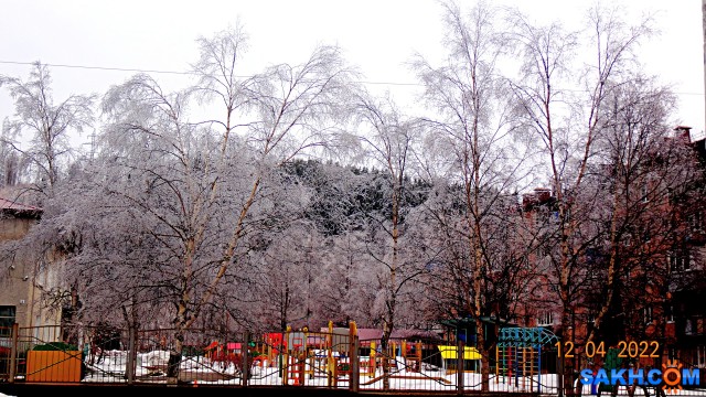 DSC08694

Просмотров: 413
Комментариев: 0
