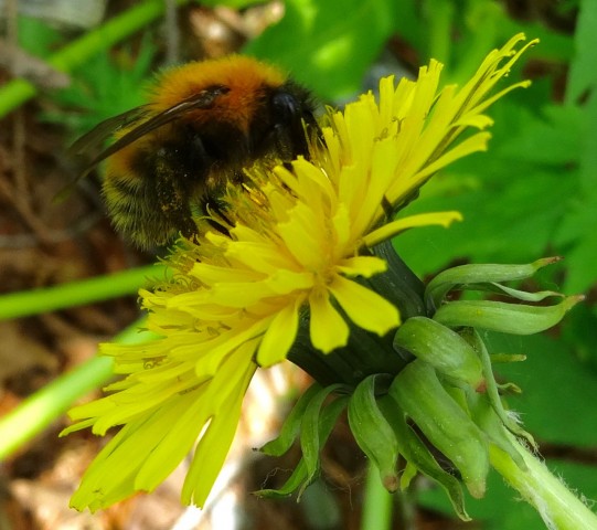 DSC01636
Фотограф: Сергей Буркацкий

Просмотров: 612
Комментариев: 0