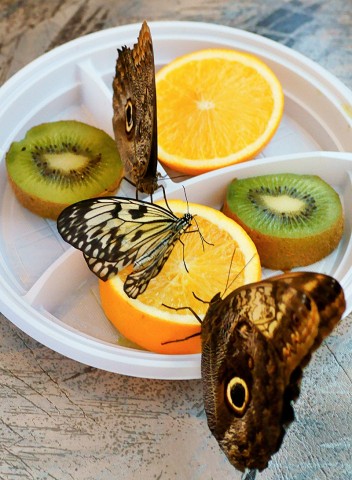 ***
Фотограф: Сергей Буркацкий

Просмотров: 592
Комментариев: 0