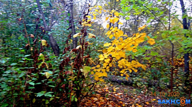DSC07999