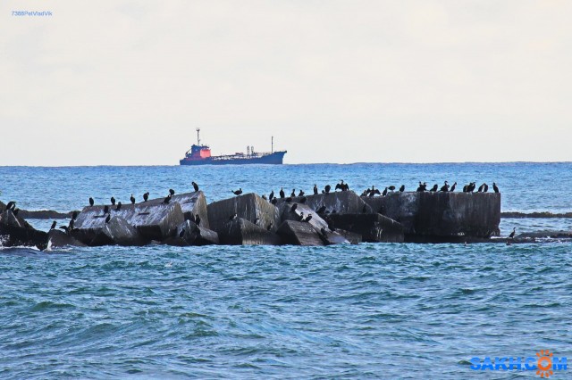 Морской пейзаж.
Фотограф: 7388PetVladVik

Просмотров: 4600
Комментариев: 0