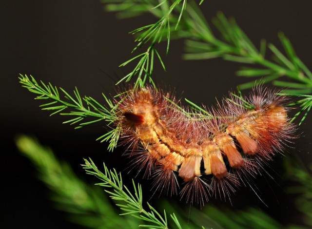 ***
Фотограф: Сергей Буркацкий

Просмотров: 882
Комментариев: 0