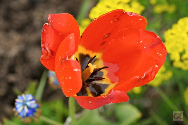 ***
Фотограф: Сергей Буркацкий

Просмотров: 885
Комментариев: 0