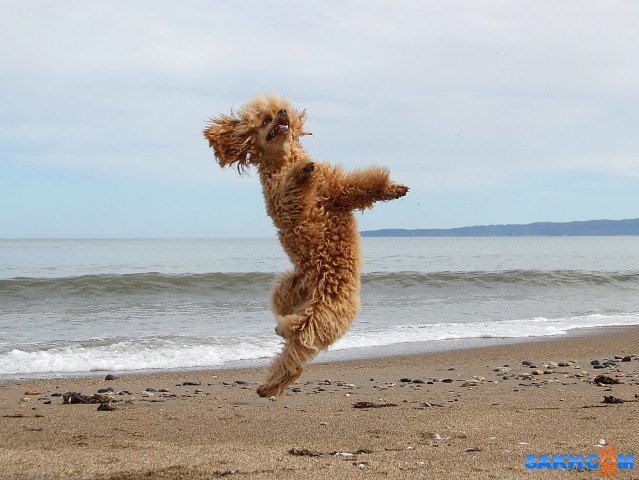 Люся порхает

Просмотров: 839
Комментариев: 2