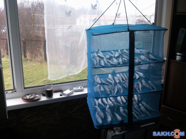 Фото-0658

Просмотров: 1354
Комментариев: 0