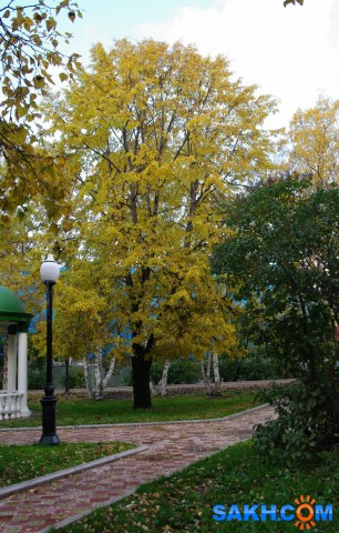 851

Просмотров: 961
Комментариев: 0