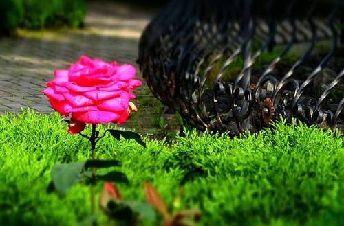 DSC00449
Фотограф: Сергей Буркацкий

Просмотров: 290
Комментариев: 0