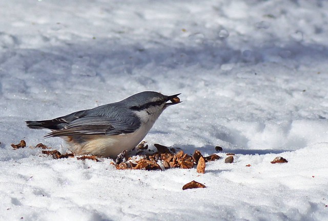 ***
Фотограф: Сергей Буркацкий

Просмотров: 1337
Комментариев: 0
