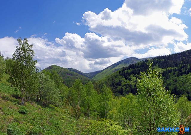 043пан-к

Просмотров: 849
Комментариев: 0