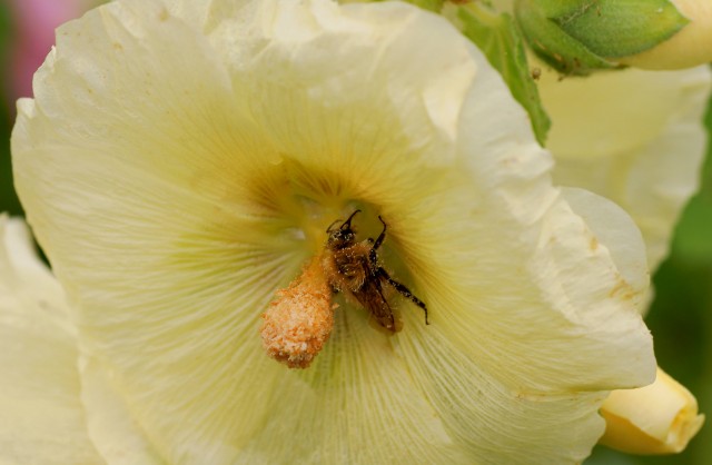 ***
Фотограф: Сергей Буркацкий

Просмотров: 991
Комментариев: 0