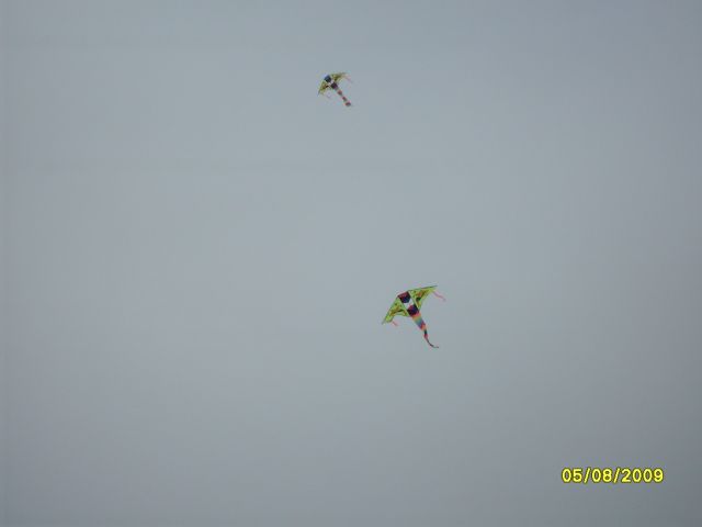 Воздушный змей
Фотограф: Maricha

Просмотров: 7755
Комментариев: 0