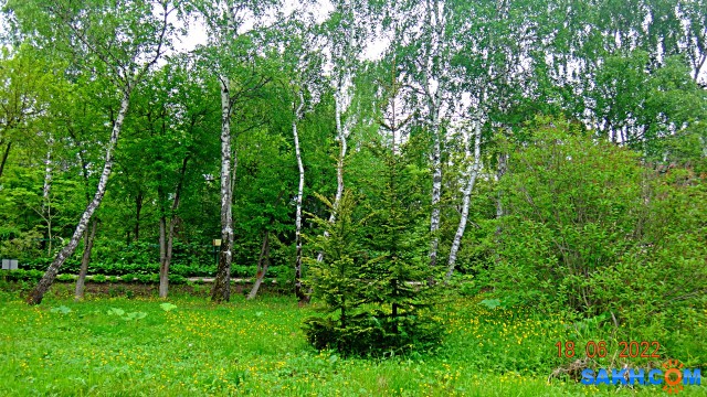 DSC09919