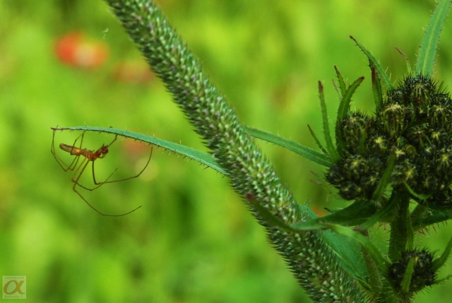 ***
Фотограф: Сергей Буркацкий

Просмотров: 719
Комментариев: 0
