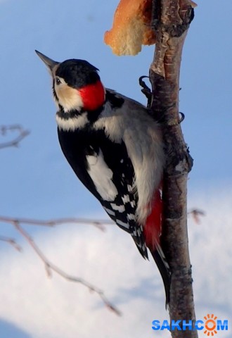 DSC05961

Просмотров: 607
Комментариев: 2