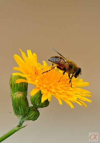 ***
Фотограф: Сергей Буркацкий

Просмотров: 1155
Комментариев: 0