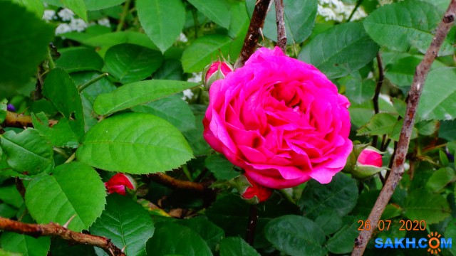 DSC03754

Просмотров: 781
Комментариев: 0
