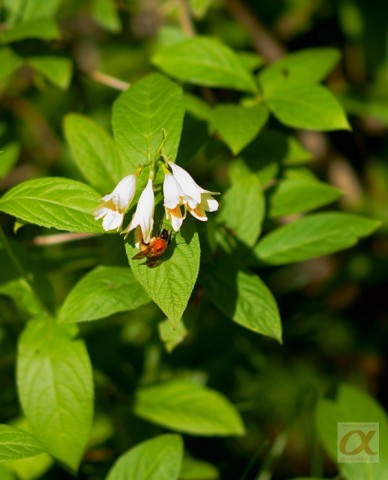 ***
Фотограф: Сергей Буркацкий

Просмотров: 757
Комментариев: 0