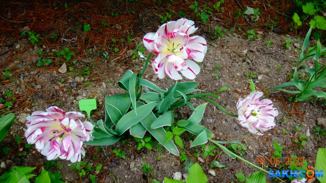 DSC09859

Просмотров: 295
Комментариев: 0