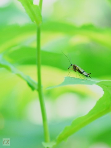 ***
Фотограф: Сергей Буркацкий

Просмотров: 698
Комментариев: 0