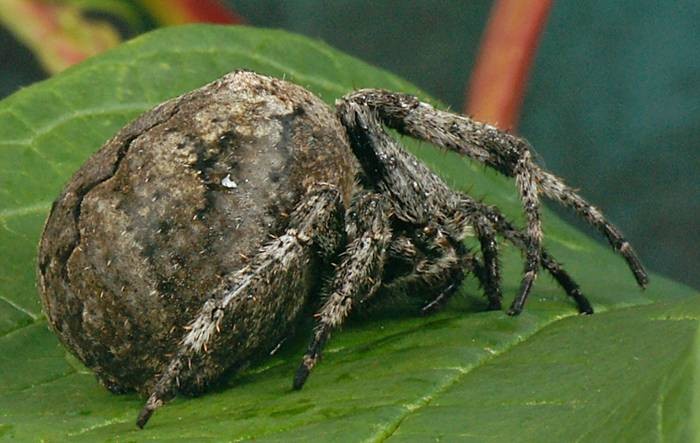 Фото 832
Фотограф: Сергей Буркацкий

Просмотров: 442
Комментариев: 0