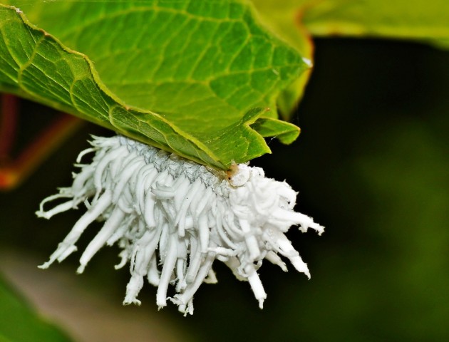 ***
Фотограф: Сергей Буркацкий

Просмотров: 794
Комментариев: 2