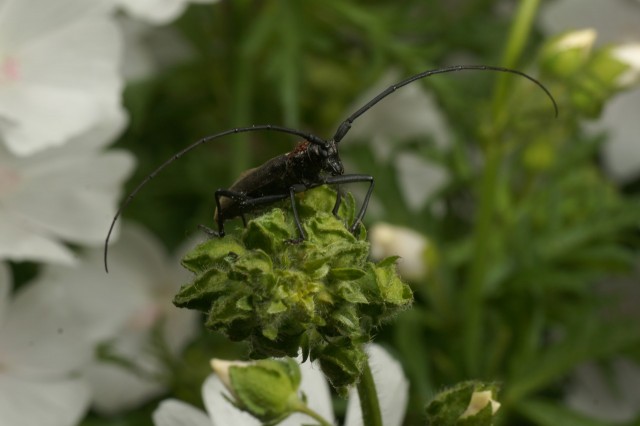 DSC01822
Фотограф: Сергей Буркацкий

Просмотров: 352
Комментариев: 0