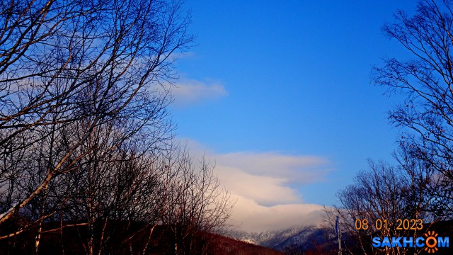 DSC06005