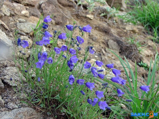 IMG_1656-к

Просмотров: 521
Комментариев: 0