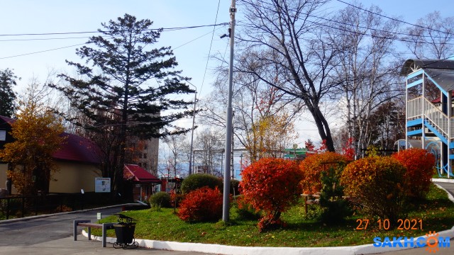 DSC07172