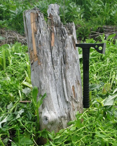 томагавк: и так попал

Просмотров: 519
Комментариев: 0