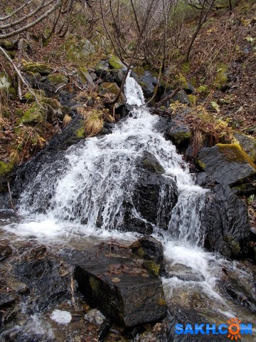 Фото 60

Просмотров: 666
Комментариев: 0