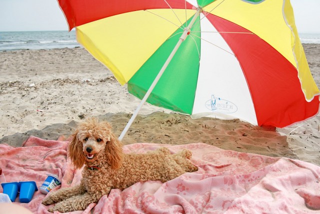 IMG_0899

Просмотров: 1844
Комментариев: 0