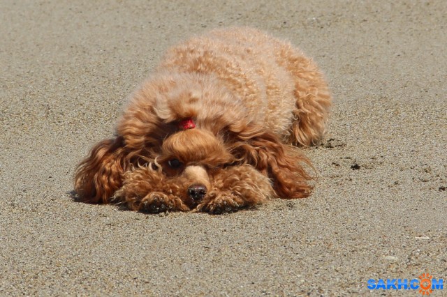 В засаде

Просмотров: 719
Комментариев: 0