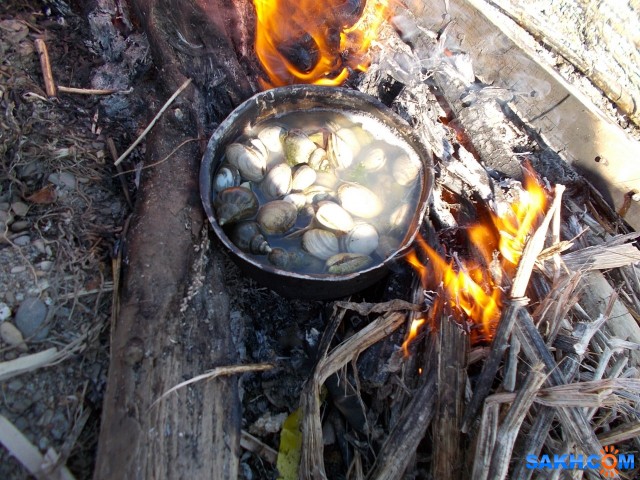 Ужин на подножном корму: 2-я Падь

Просмотров: 824
Комментариев: 0