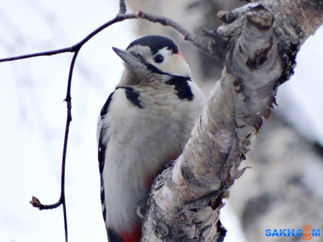 Фото 159

Просмотров: 562
Комментариев: 1