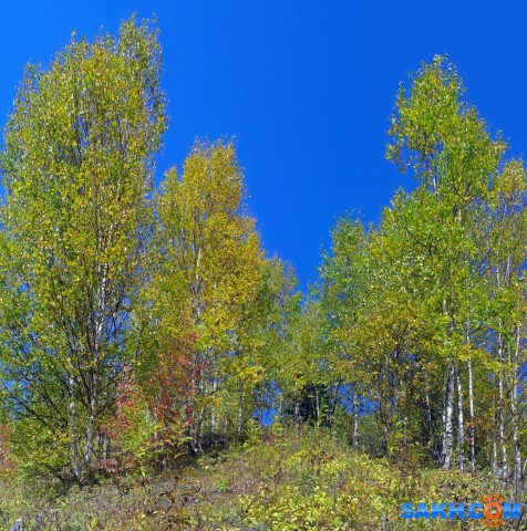 063-пан-к

Просмотров: 870
Комментариев: 0