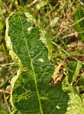 ***

Просмотров: 671
Комментариев: 0