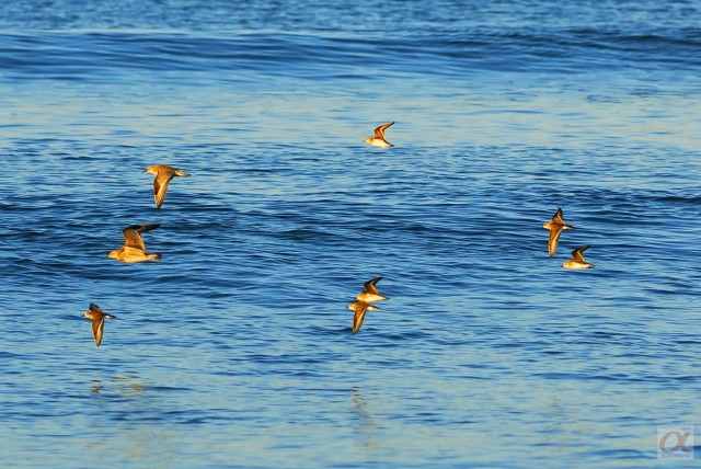 ***
Фотограф: Сергей Буркацкий

Просмотров: 1302
Комментариев: 0