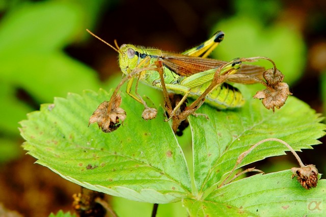 ***
Фотограф: Сергей Буркацкий

Просмотров: 767
Комментариев: 0