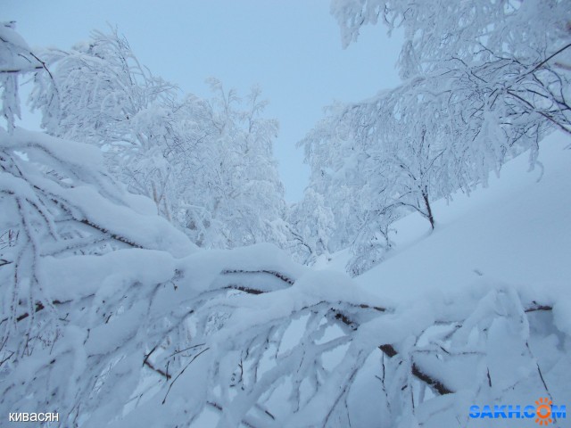 DSCN0129
Фотограф: Меркулова Ольга

Просмотров: 1307
Комментариев: 0
