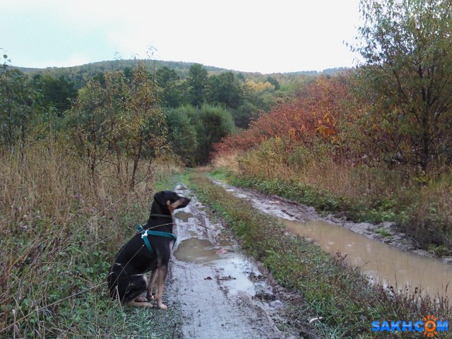 IMG2592-01

Просмотров: 977
Комментариев: 0
