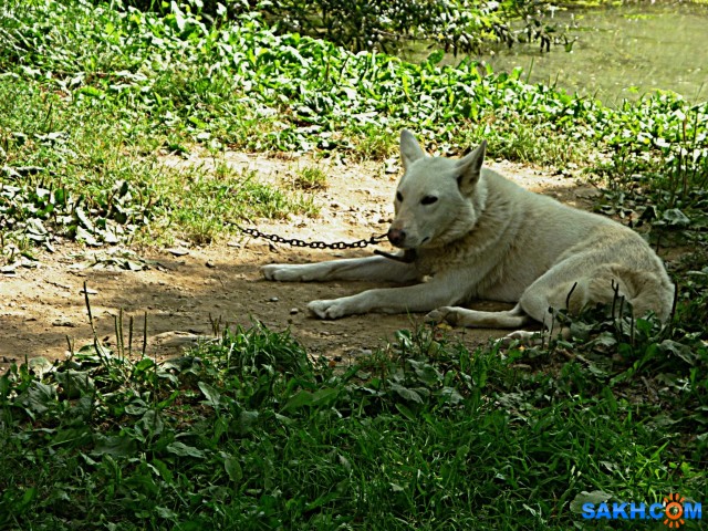 P1210753

Просмотров: 671
Комментариев: 0