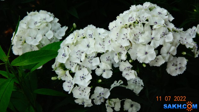 DSC00581

Просмотров: 502
Комментариев: 0