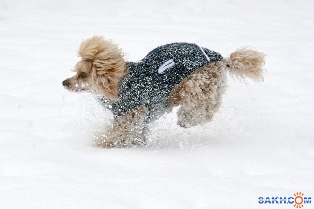 IMG_8787

Просмотров: 2069
Комментариев: 1