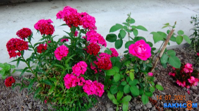 DSC03891

Просмотров: 440
Комментариев: 0