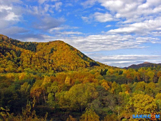 IMG_0142 -к

Просмотров: 644
Комментариев: 0