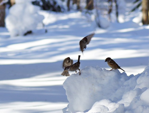 ***
Фотограф: Сергей Буркацкий

Просмотров: 1105
Комментариев: 0